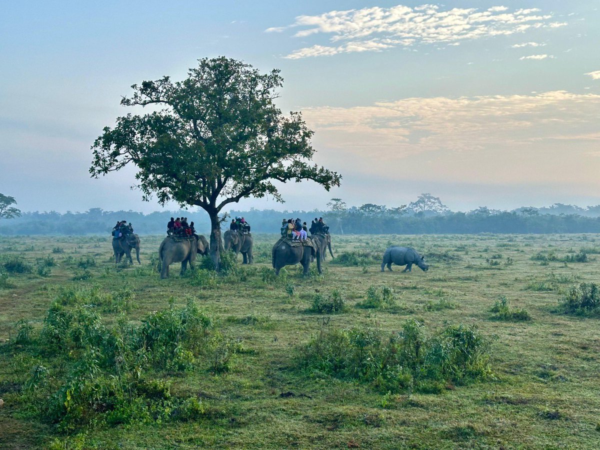 KVSinghMPGonda's tweet image. असम की समृद्ध प्राकृतिक धरोहर, घने वन, जैव-विविधता और स्वच्छ वातावरण हमारे देश की अमूल्य पूंजी हैं। इस असम दिवस पर हम सब मिलकर संकल्प लें कि पर्यावरण संरक्षण और वन संपदा की रक्षा से जुड़े प्रयासों को और मजबूत बनाएंगे।…
