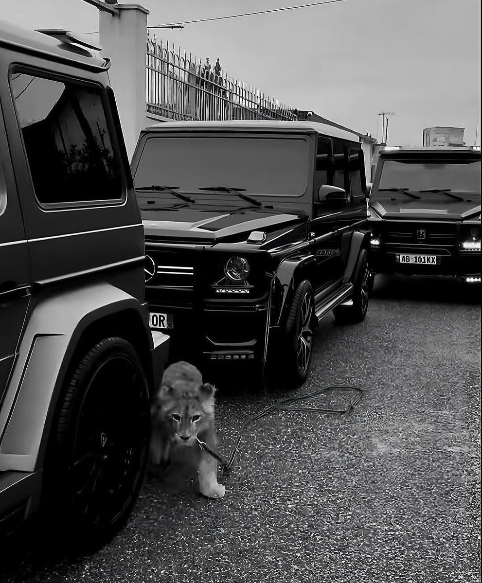 cobanwin's tweet image. S.a