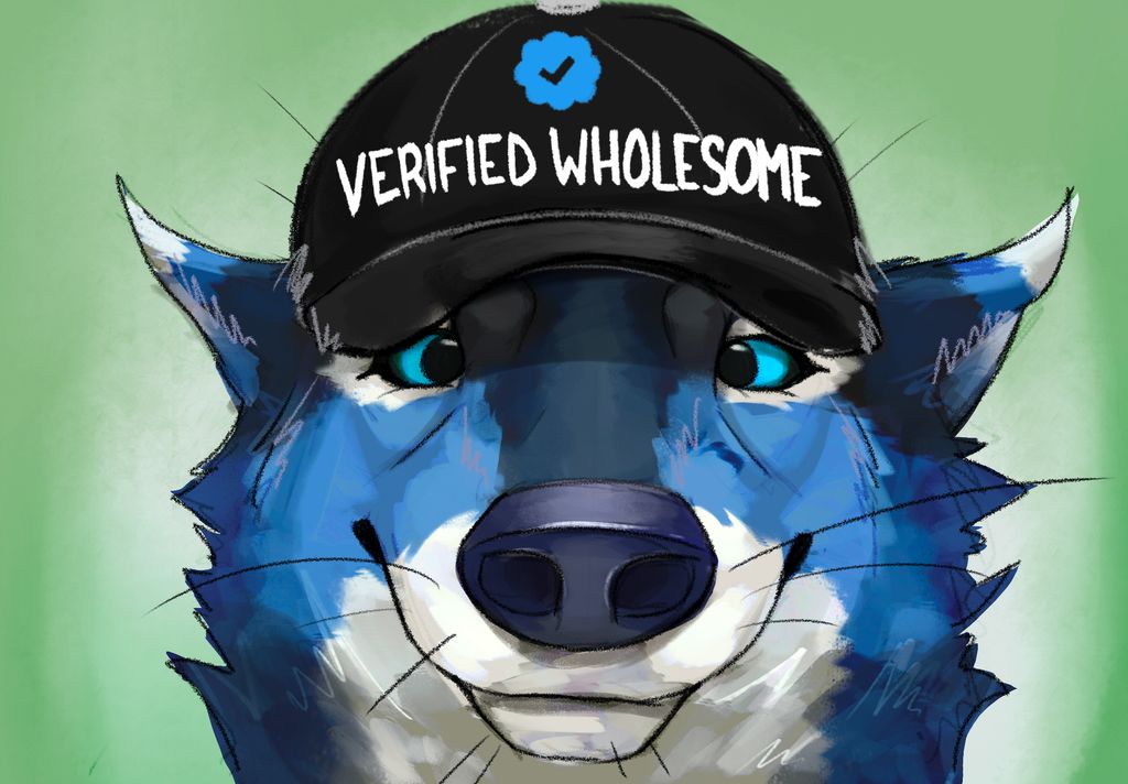 PleaxWolf🐺 tweet media