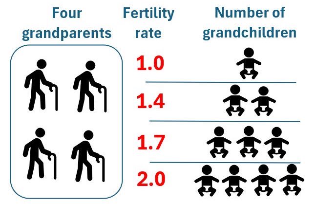 MichaelAArouet's tweet image. It always puzzles me why people don’t understand what a fertility rate of 1.0 means. After just two generations, the population drops by 75%.

South Korea, China, Italy, Poland, and some other countries are close to 1.0. It’s the end of society as we know it.