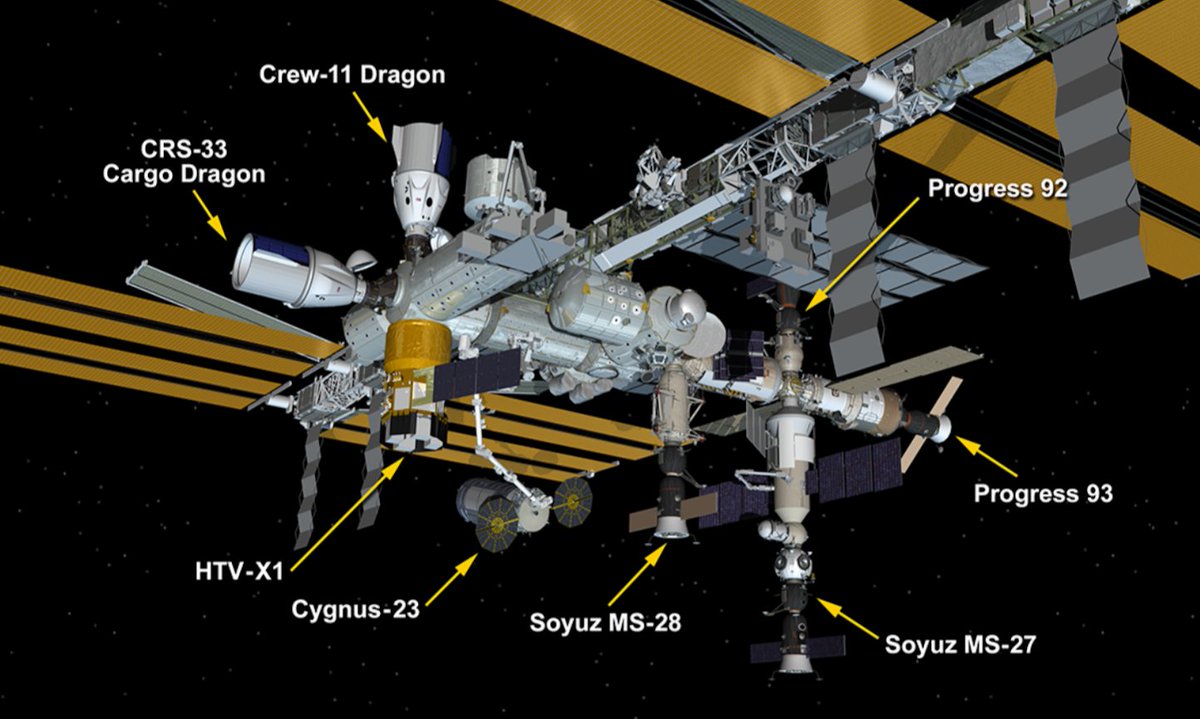 Charline.Astro tweet media