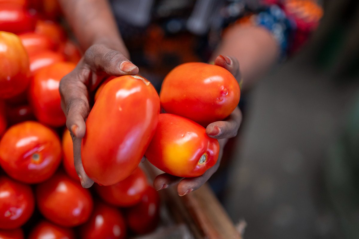 Food safety begins at the farm, especially with small-scale farmers who produce most of our fresh produce. Prioritizing massive, continuous sensitization programs on safe agrochemical use is critical. Farmers must fully understand Maximum Residue Limits (MRLs) and strictly
