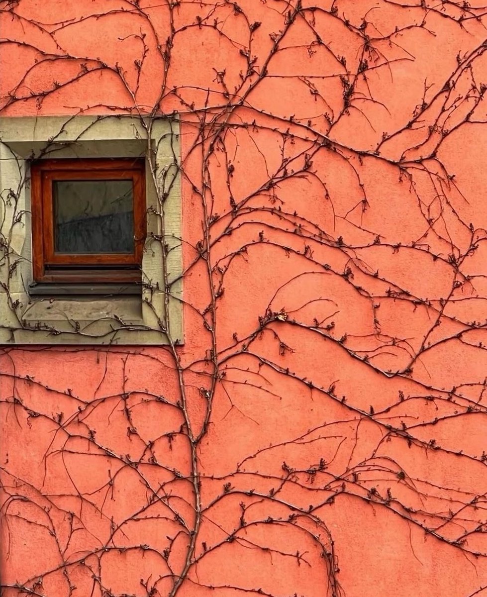 pantelischio's tweet image. #Doorsandwindows