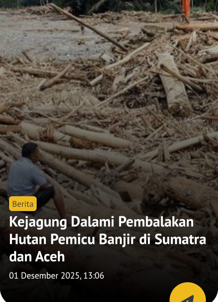 NayDonuts's tweet image. SATGAS PKH KEJAGUNG usut dugaan pelanggaran hukum pembalakan liar di Aceh, Sumut, dan Sumbar, dampak bencana Sumatra.

Langkah yg harus kita dukung. Karena bencana bukan turun dari langit begitu aja; kadang datang dari tangan² yg tebal izinnya, tipis etikanya 🙃
