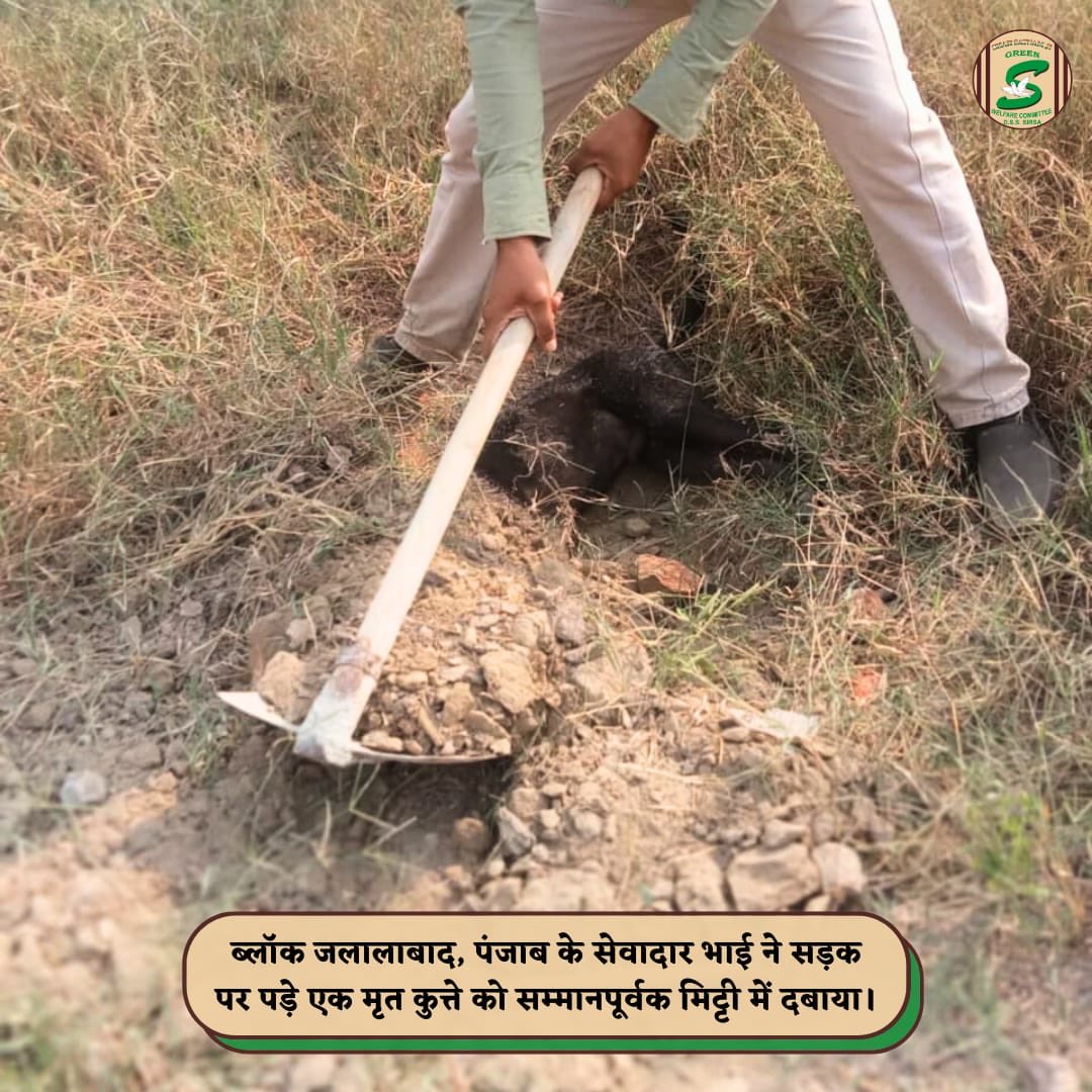 Shah Satnam Ji Green S Welfare Committee tweet media