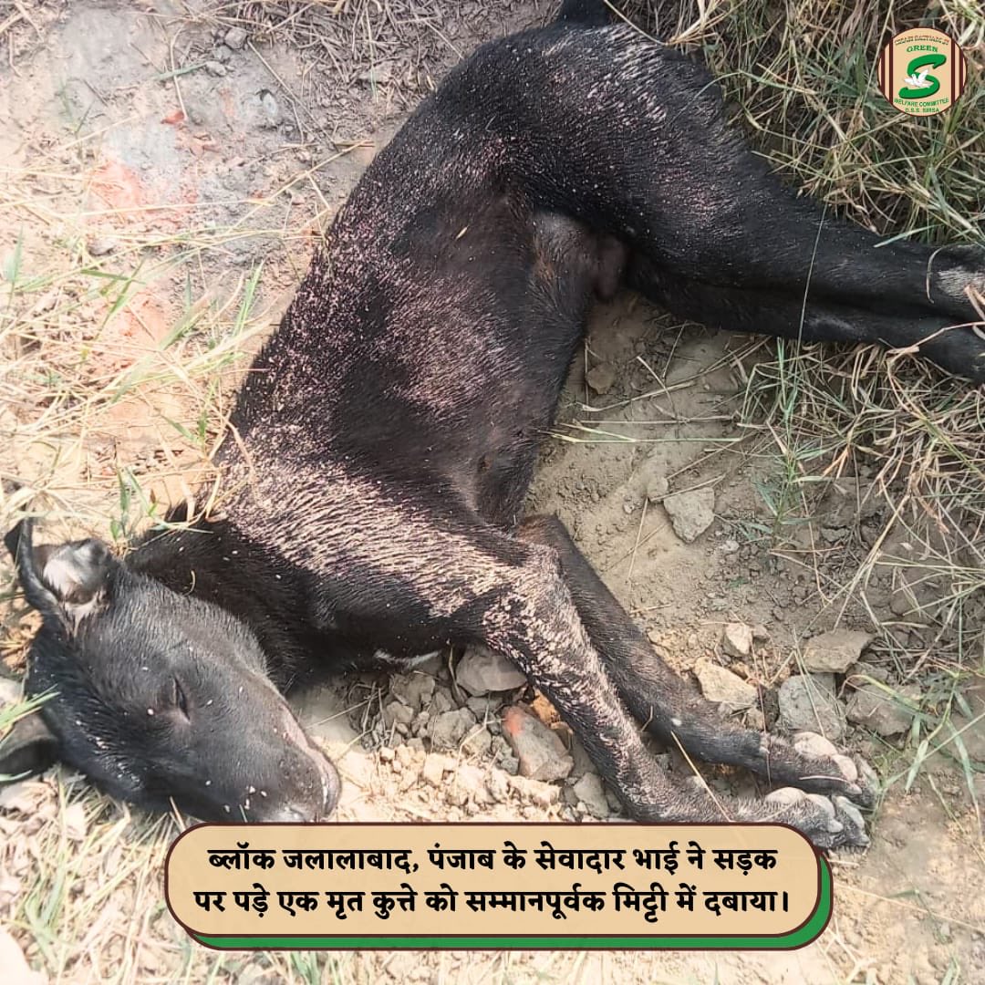 Shah Satnam Ji Green S Welfare Committee tweet media