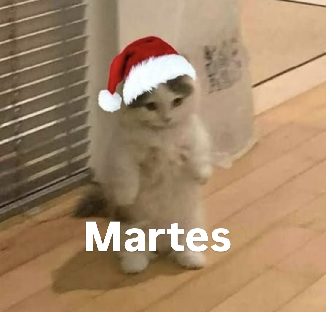 En Júpiter (@en_jupiter_) on Twitter photo 