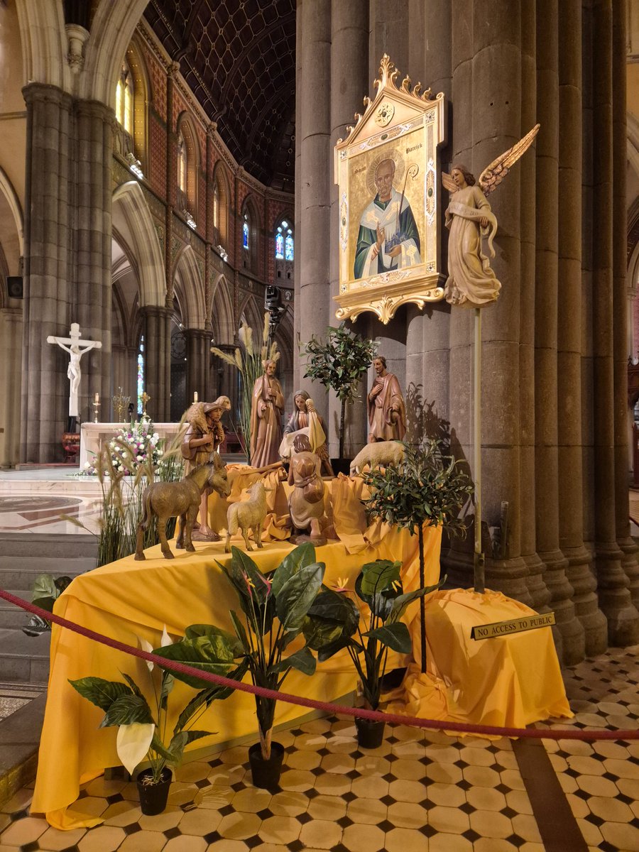 Giulio Di Giorgio tweet media