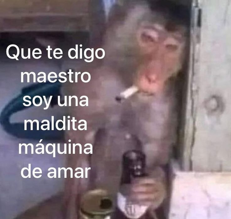 En_jupiter_'s tweet image. 