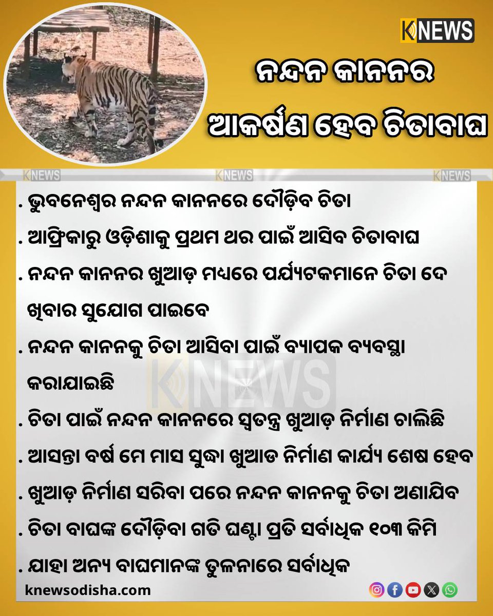 knews_odisha's tweet photo. ନନ୍ଦନକାନନରେ ଦୌଡ଼ିବ ଚିତା । ଆଫ୍ରିକାରୁ ଓଡ଼ିଶାକୁ ପ୍ରଥମ ଥର ପାଇଁ ଆସିବ ଚିତା ବାଘ ।
#Nandankanan #AfricanLeopard #Leopard #Odisha https://t.co/HKTr63Puhk