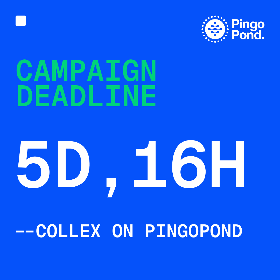 Less than one week remains until the Collex campaign ends. All participants in this campaign will receive double PingoPond points and $5 in <a href="/collexdotfun/">COLLEX</a> platform Credit Points. The top 10 submissions will each receive one pack containing a collectible card.

→