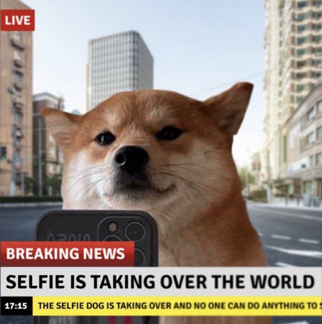 Day 12 of buying $selfie everyday!

It’s quite easy to DCA 1M of $Selfie

Lets have that as a target!

Join me in this quest!