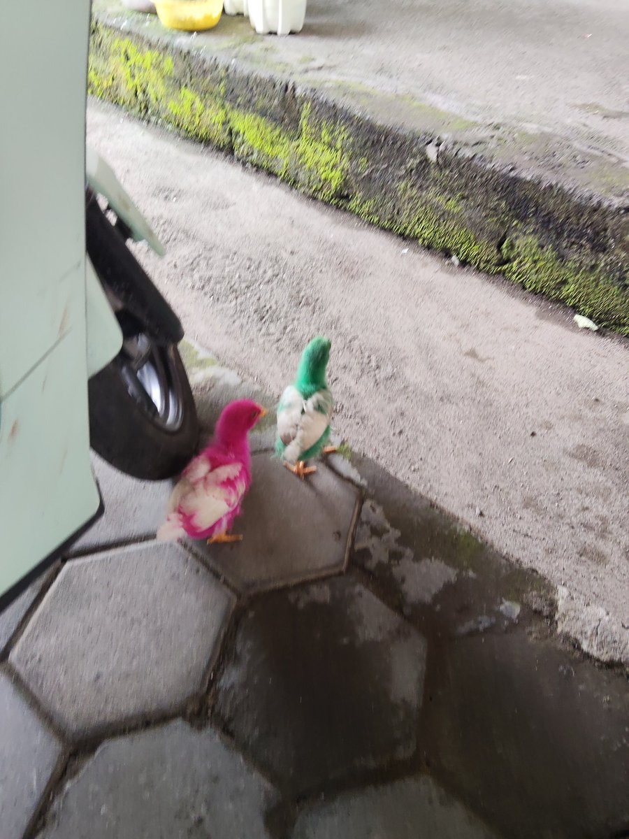 (B)ayemijo <a href="/Bayemijo_/">Mijo🥬| Open Mixing Commission</a>