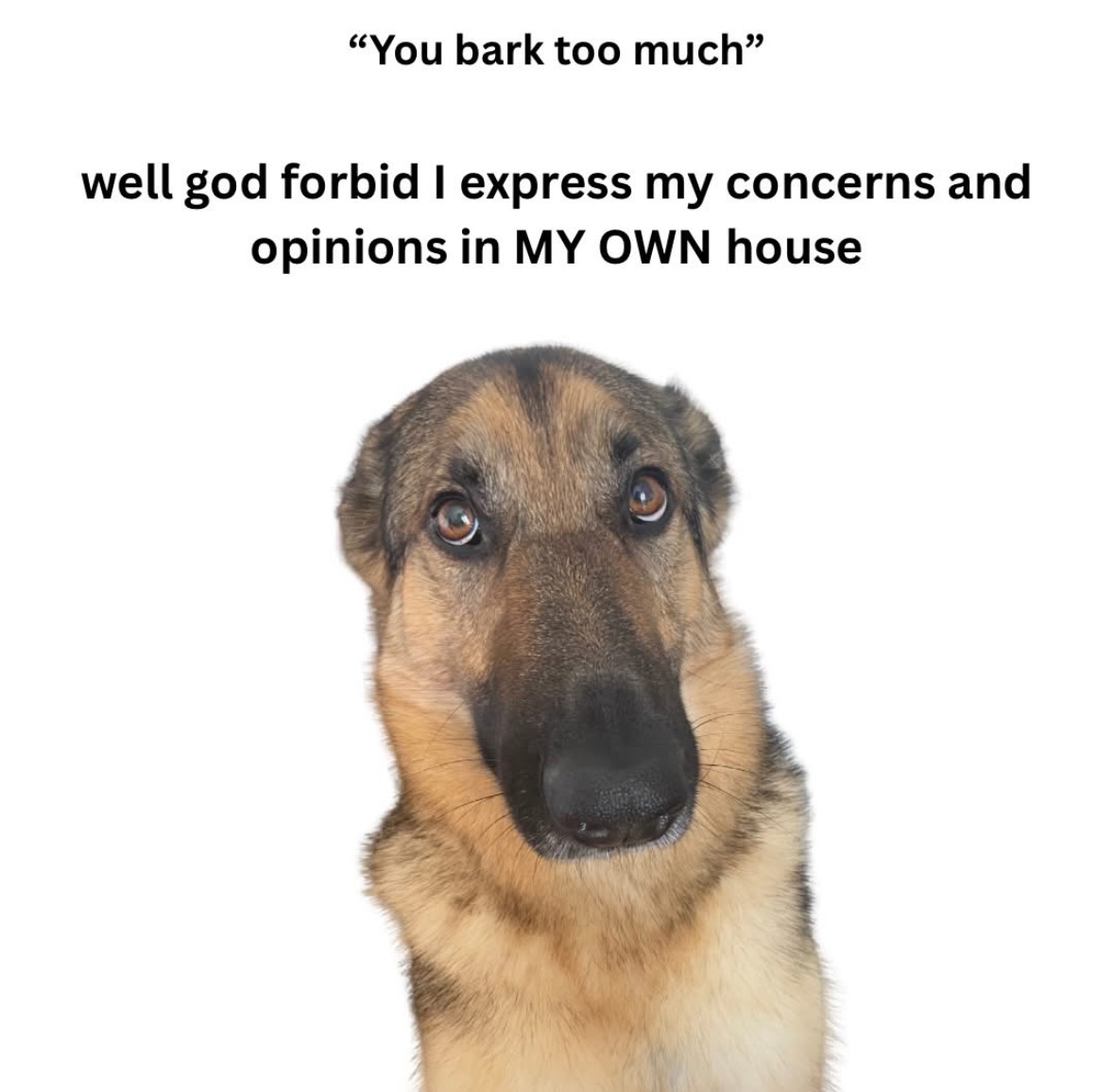 Respectful Memes (@respectfulmemes) on Twitter photo 