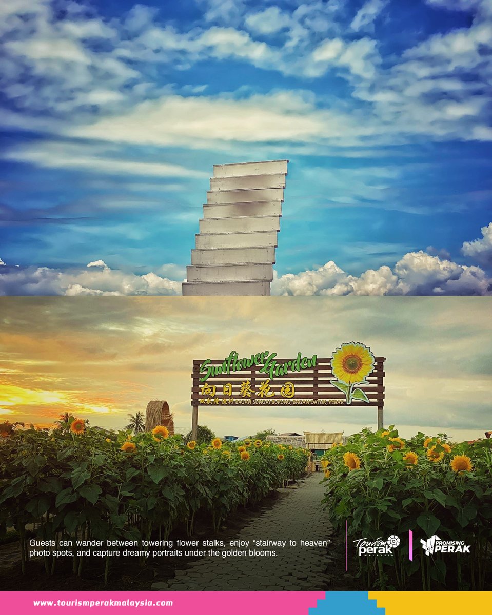 Tourism Perak tweet media