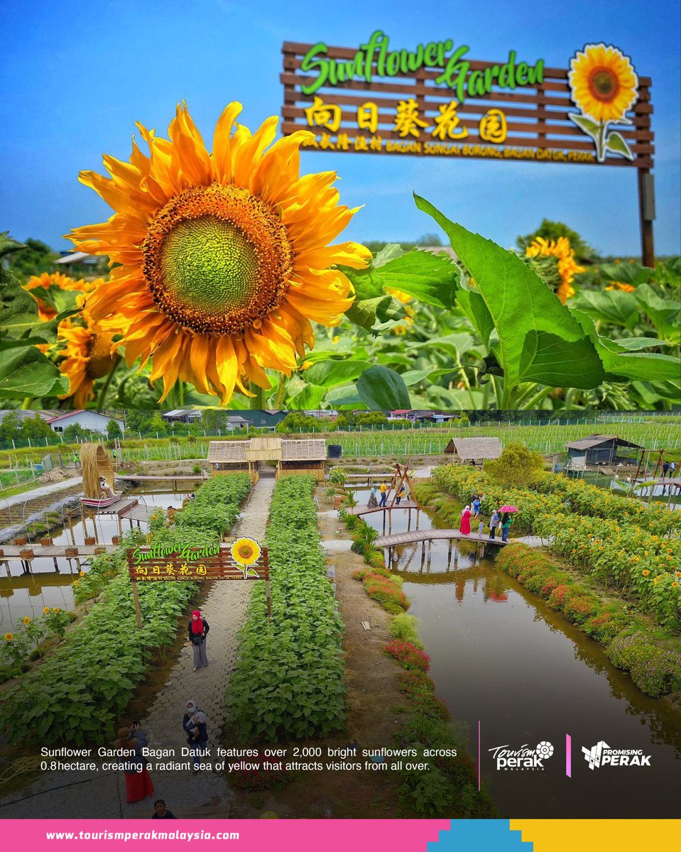 Tourism Perak tweet media