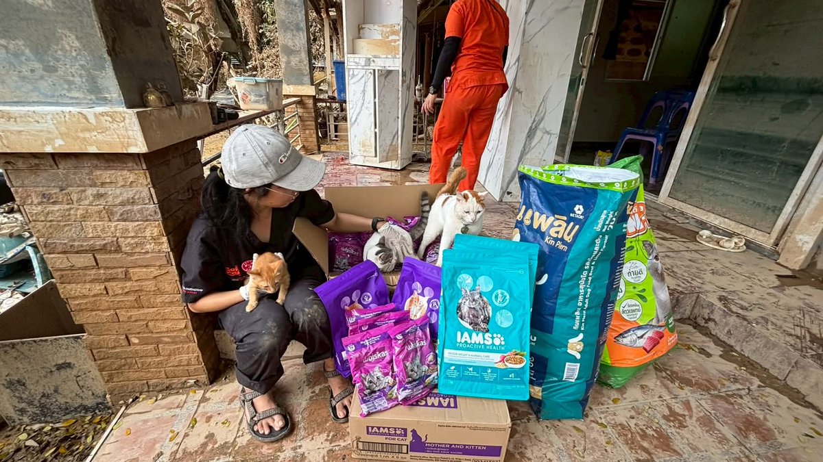 soidogthailand's tweet image. ‘เสียงจากชาวหาดใหญ่ แรงใจที่ทำให้เราเดินหน้าต่อ’
ซอยด๊อกลงพื้นน้ำท่วมอย่างต่อเนื่อง เร่งแจกจ่ายอาหาร ทำวัคซีน ให้ยาถ่ายพยาธิและกำจัดเห็บหมัดแก่สุนัขและแมวในชุมชนต่าง ๆ โดยได้รับการต้อนรับอย่างอบอุ่นและกำลังใจที่ดีจากชาวหาดใหญ่ทั้งในพื้นที่และข้อความที่ส่งมาที่เพจของเรา