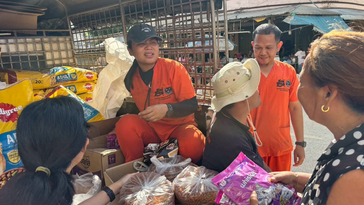 soidogthailand's tweet image. ‘เสียงจากชาวหาดใหญ่ แรงใจที่ทำให้เราเดินหน้าต่อ’
ซอยด๊อกลงพื้นน้ำท่วมอย่างต่อเนื่อง เร่งแจกจ่ายอาหาร ทำวัคซีน ให้ยาถ่ายพยาธิและกำจัดเห็บหมัดแก่สุนัขและแมวในชุมชนต่าง ๆ โดยได้รับการต้อนรับอย่างอบอุ่นและกำลังใจที่ดีจากชาวหาดใหญ่ทั้งในพื้นที่และข้อความที่ส่งมาที่เพจของเรา