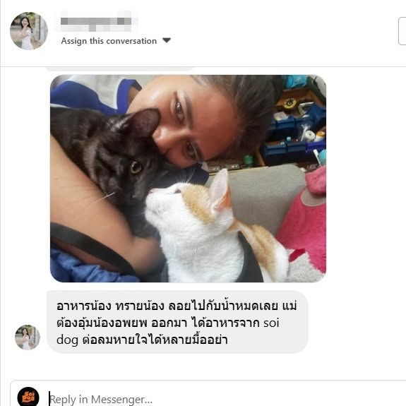 soidogthailand's tweet image. ‘เสียงจากชาวหาดใหญ่ แรงใจที่ทำให้เราเดินหน้าต่อ’
ซอยด๊อกลงพื้นน้ำท่วมอย่างต่อเนื่อง เร่งแจกจ่ายอาหาร ทำวัคซีน ให้ยาถ่ายพยาธิและกำจัดเห็บหมัดแก่สุนัขและแมวในชุมชนต่าง ๆ โดยได้รับการต้อนรับอย่างอบอุ่นและกำลังใจที่ดีจากชาวหาดใหญ่ทั้งในพื้นที่และข้อความที่ส่งมาที่เพจของเรา