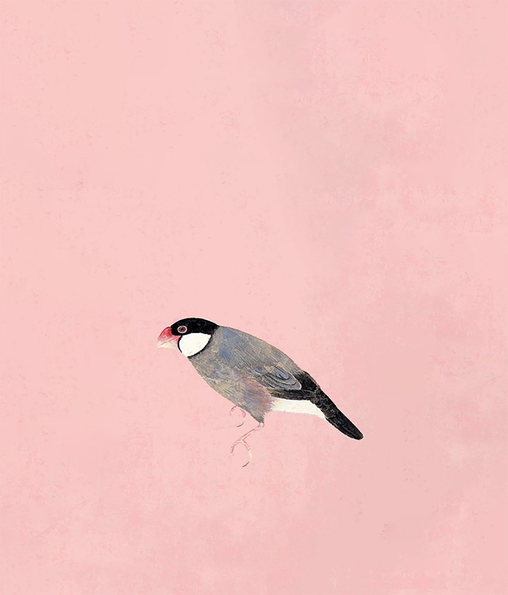 たかや👓 (@takaya58) / Posts / X