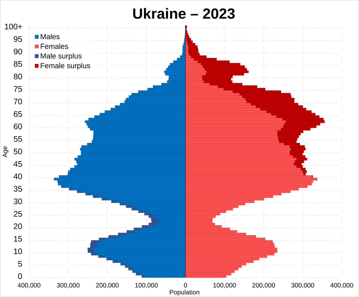 This is the most depressing population pyramid I have ever seen. The future is not rosy, to put it politely.