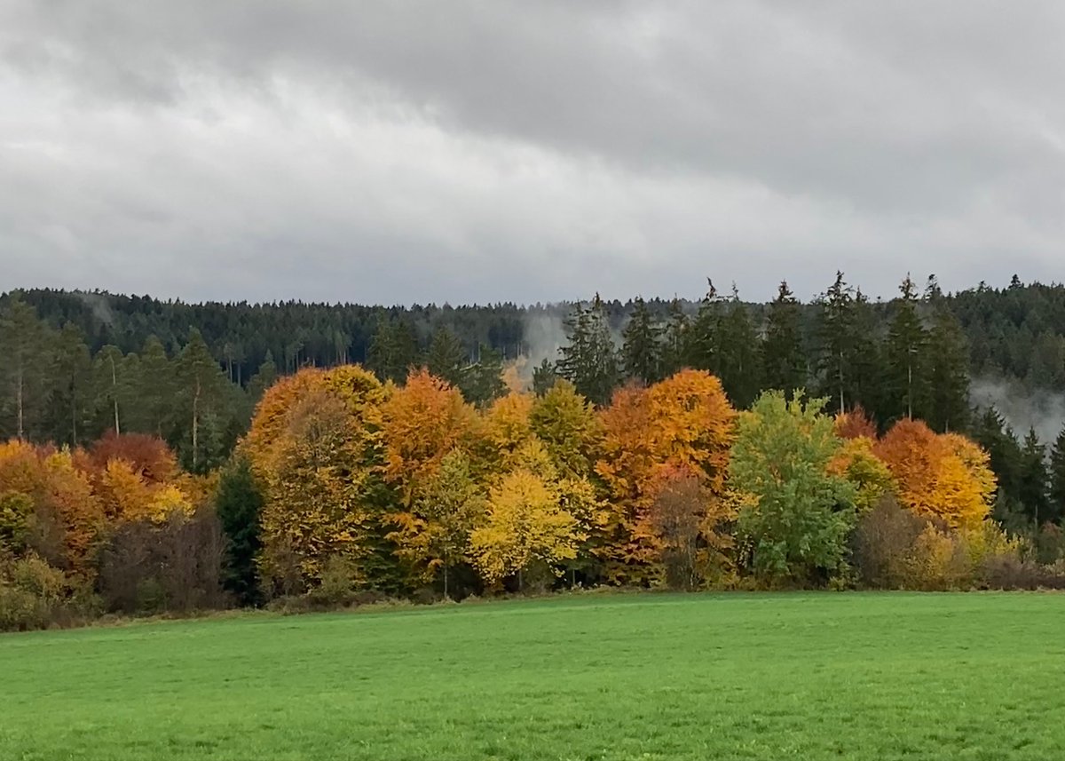 Herbststimmung 
Foto von <a href="/25kaikai/">Mala</a> 
Beitrag zur Followerparade "Herbstlandschaften" wirschum.de/followerparade/