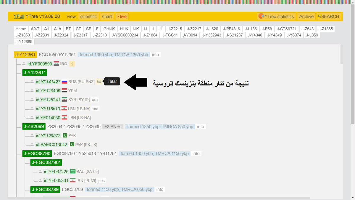 StudiesHuman's tweet image. ظهور نتيجة جديدة من بلاد القرم - التتار وهذه المرة  في أرض الصقالبة على نفس خط نتيجة تتار الفولغا السابقة المرفوعة على YFULL تحت  J-Y12361 من السلالة J-L859  .
علماً بأن هذ الفرع J-Y12361 خرجت عليه سابقاً نتيجتين لاحفاد الاسرة الصفوية في ايران من جيلين مختلفين .