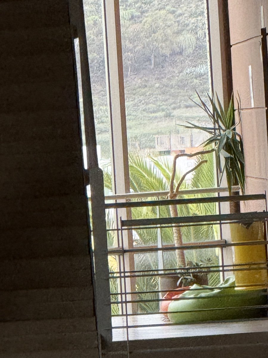 _andreeeaaa18's tweet photo. #creativoskm

1. Se necesitan más baños
2. Más sillones
3. Hacer esto de otro material que no aguante tanto calor (siempre hace mucho) https://t.co/IxJ20c87Ht