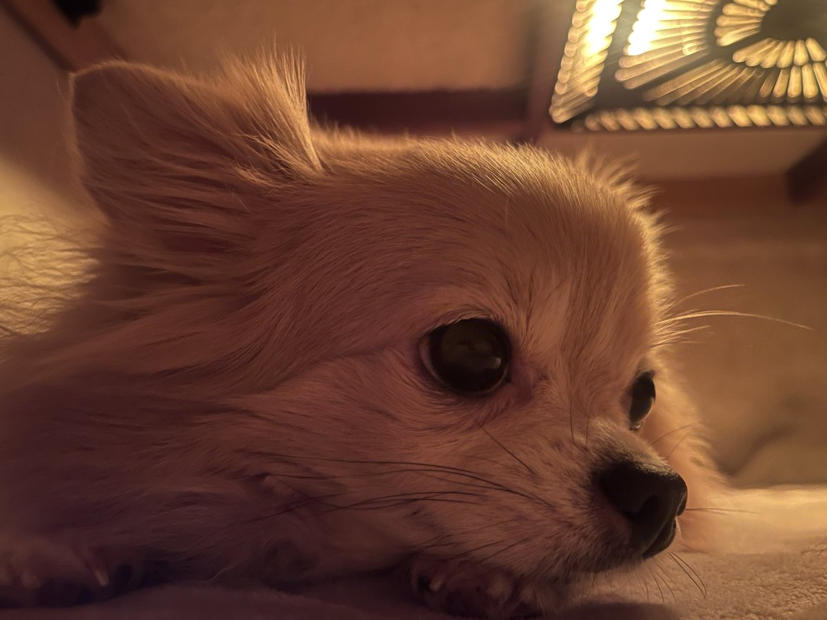 🫧じゅんじゅんの日常🫧 (@junjun2017626) / Posts / X