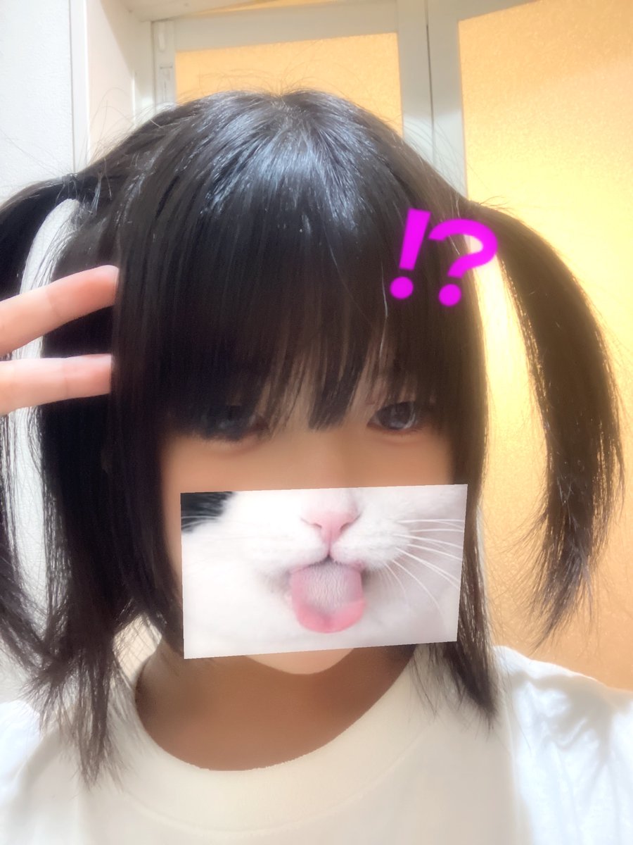 cat_kyu_kyu's tweet image. ヲレ