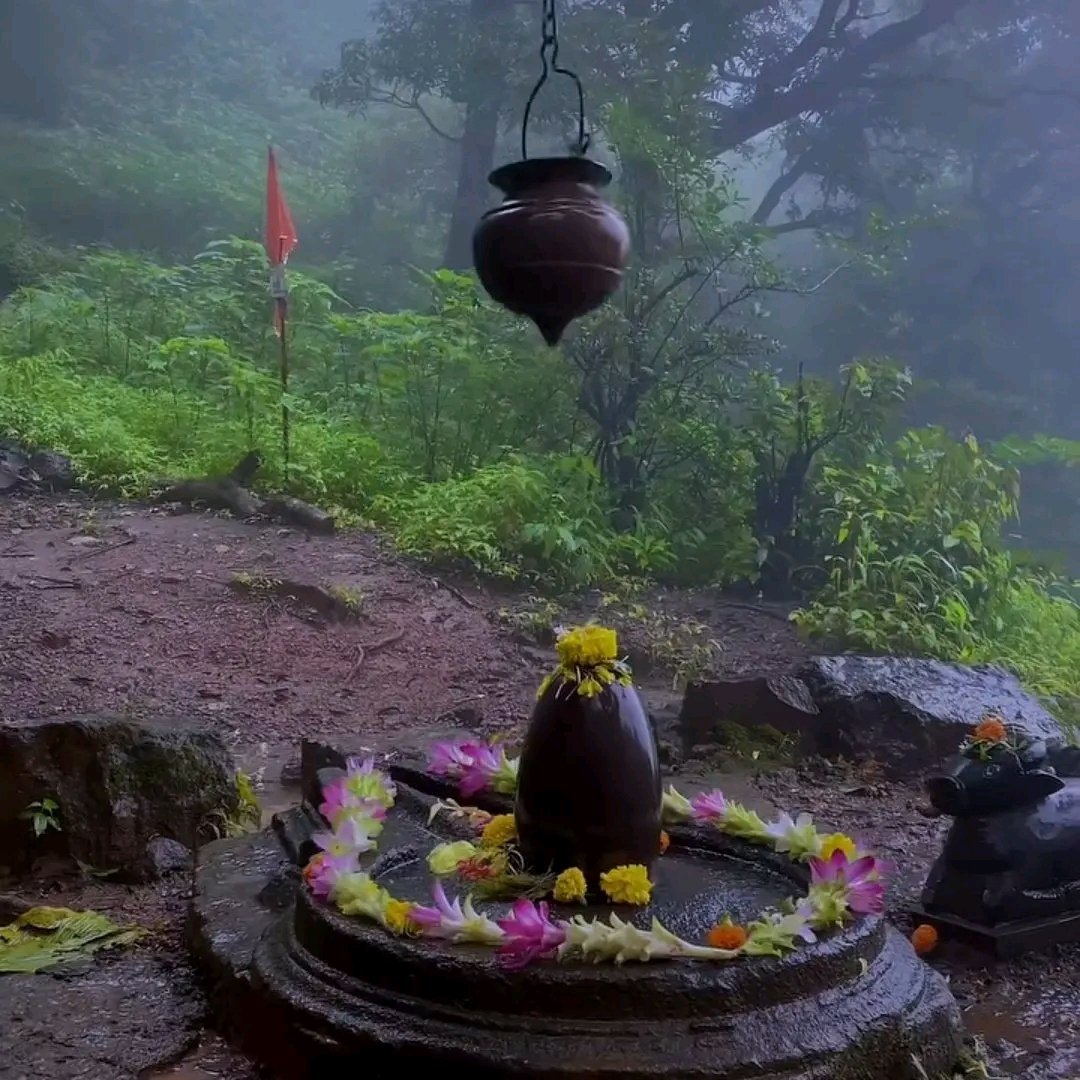 DeepchandBoss's tweet image. महादेव के भक्तों तुम तो जुड़ जाओ
हर हर महादेव 🙏