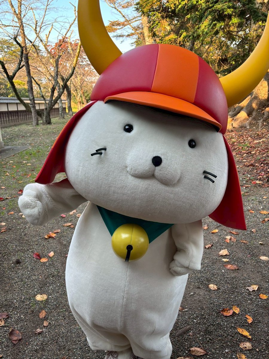 本日の #彦根 はとても暖かく、過ごしやすい一日でござった🍁 お客様に