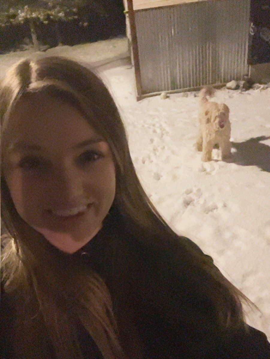 munkiesp4nk3r's tweet image. #DirtyDan follows me to feed my homeless cats. Cold tonight!