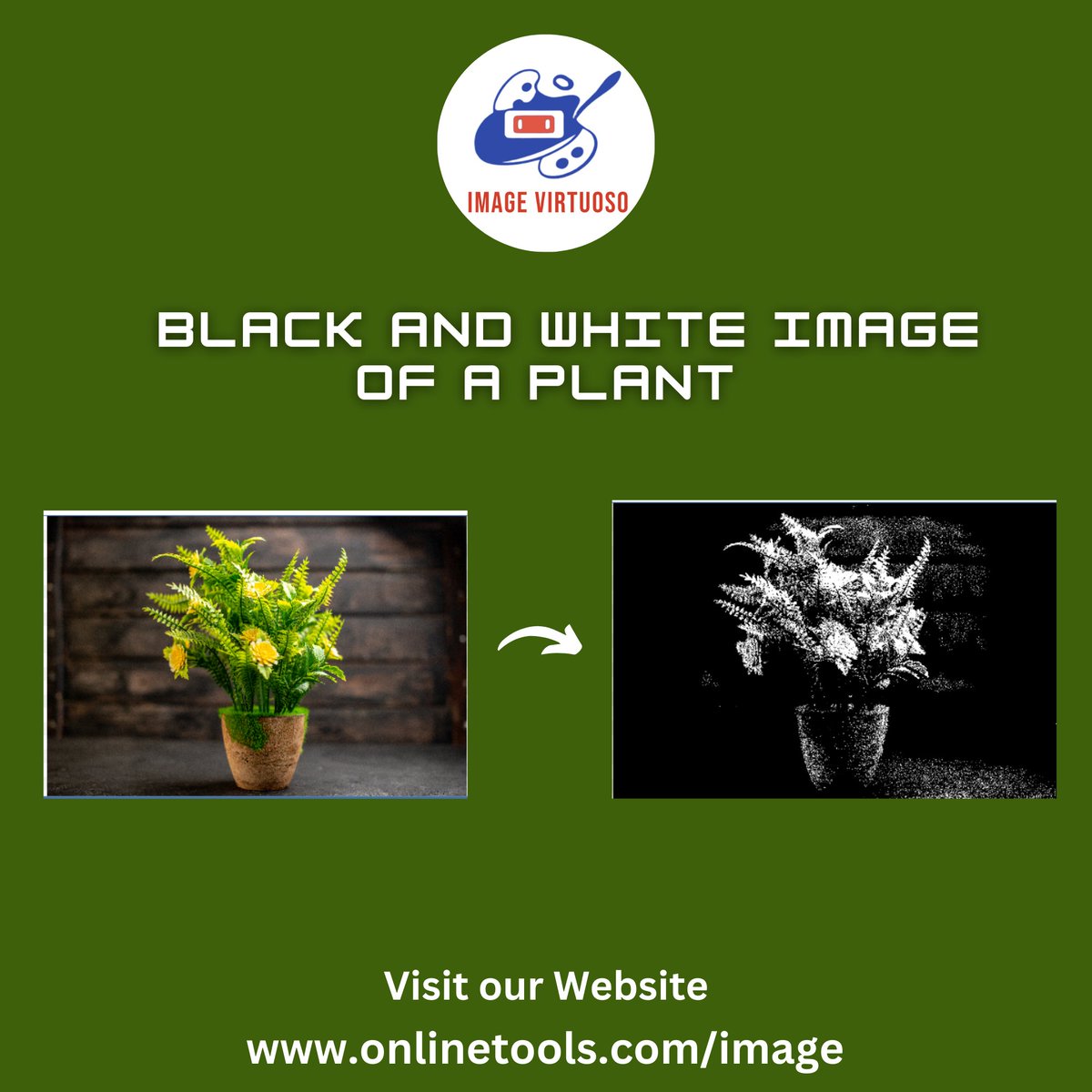ImageVirtuoso's tweet image. Convert your plant photo into a classic black and white image in one click for a minimal natural look.
Try our tool: onlinetools.com/image/create-b…
onlinetools.com/image/change-i… #PhotoEditing #VisualEffects #GiftToNature #CreativeTools #ilwx #DNC2024 #jjk267 #explorepage #TheyCallHimOG