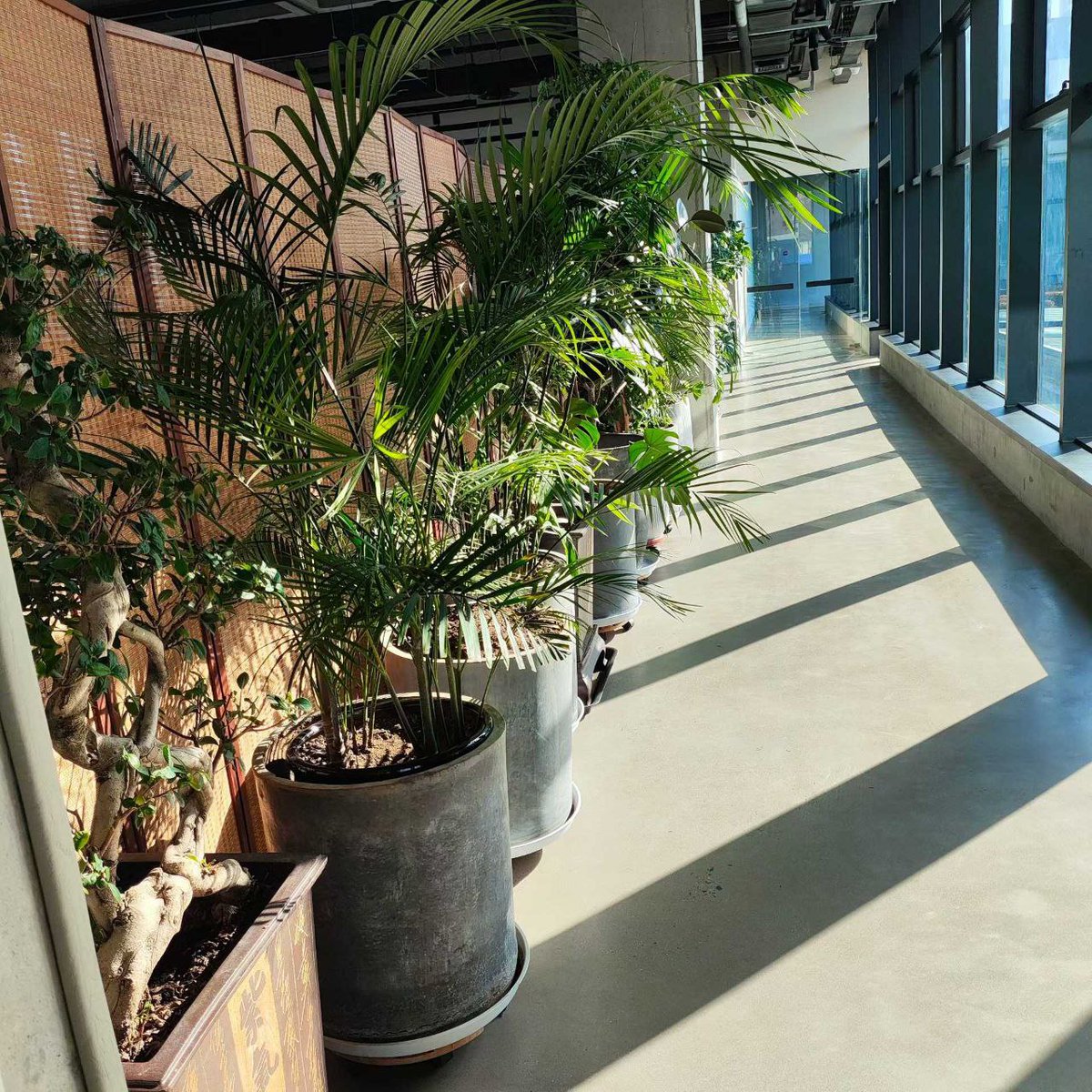 Epoch International tweet media