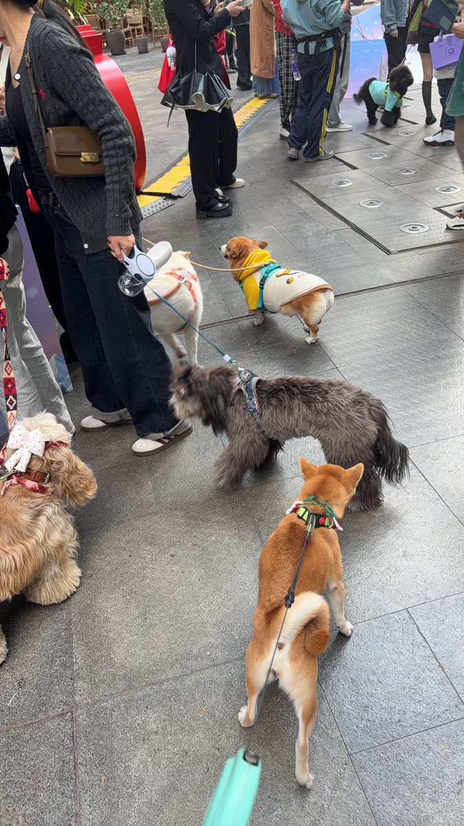 之前还会有行情好差赚不到什么钱的焦虑，最近完全没有了。
夕阳下遛遛狗，去吃顿好吃的夜宵，然后去泡汤按个脚，半夜听着引擎声轰鸣肾上腺素飙升，趁着工作日人少跑去滑雪，看着人来人往，很稀松平常，又简单幸福。