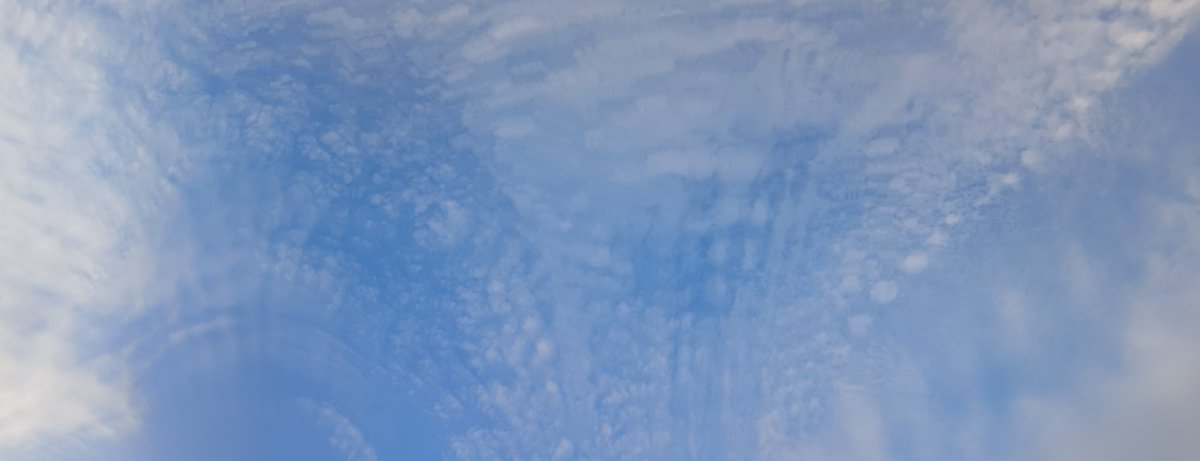 function_rikei's tweet image. アノマロカリスみたいやなぁぁっておもた