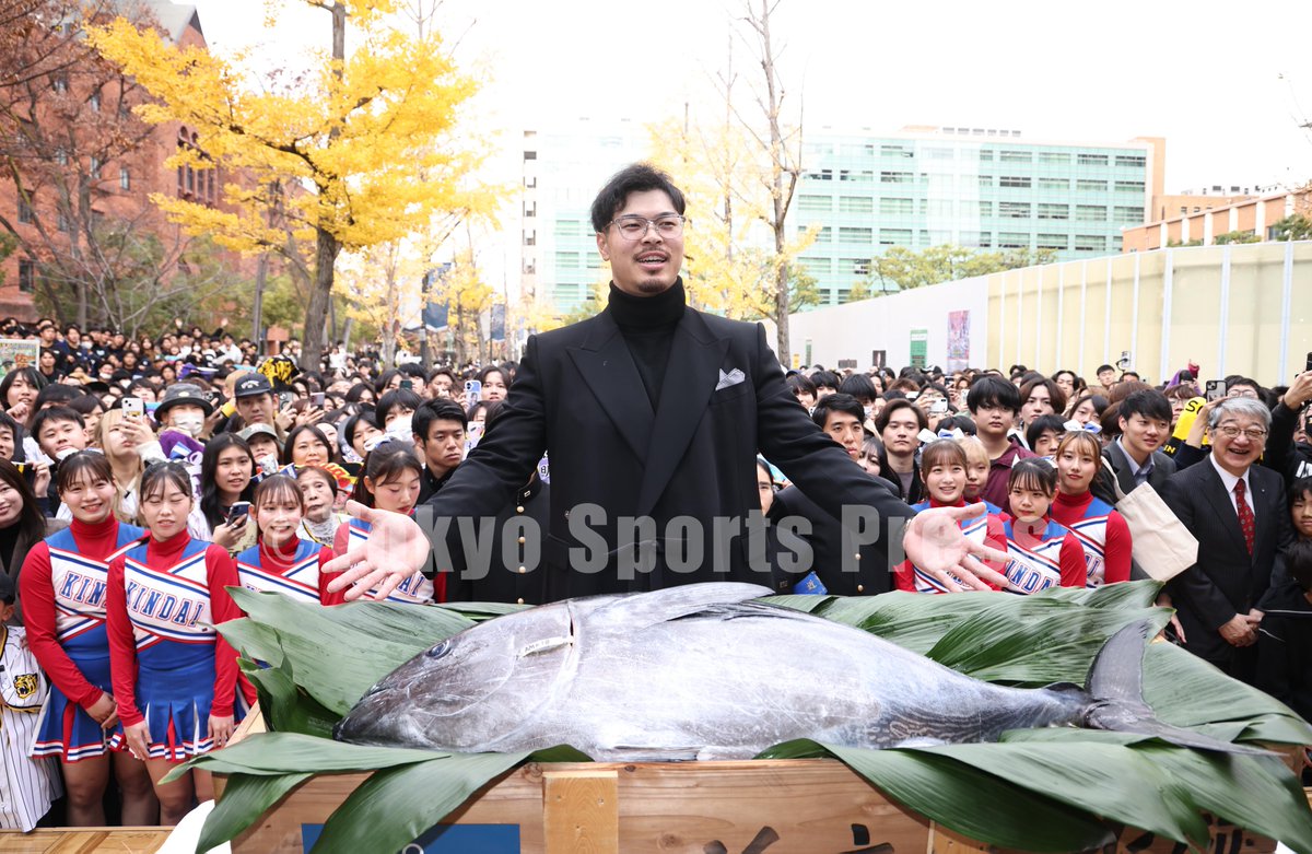 ⭐️佐藤 紘明 佐藤芳明はアコーディオン (@yyysssaaatttooo) / Posts / X