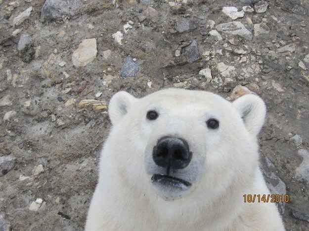 김둥글 tweet media