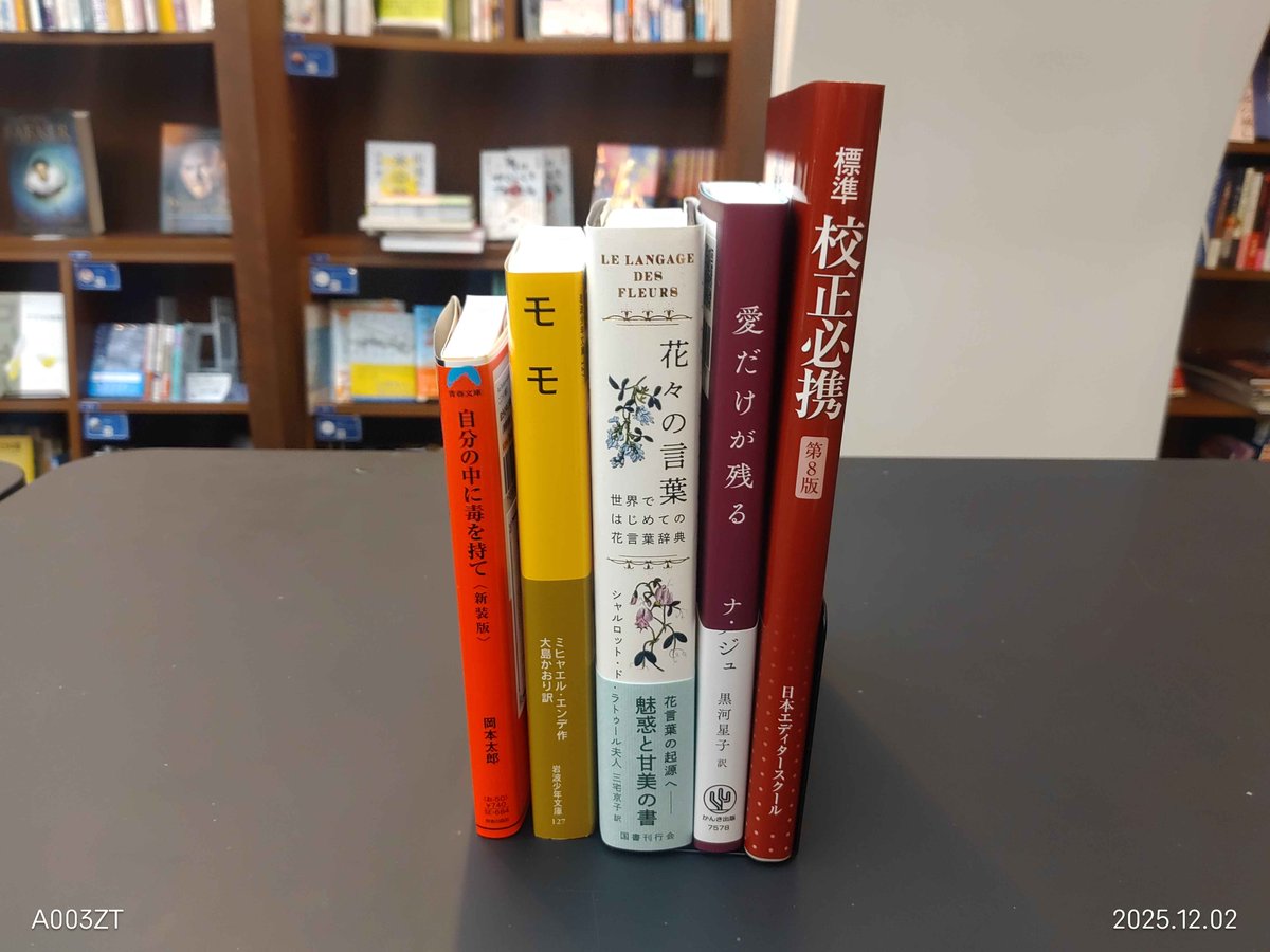 📚新刊入荷のお知らせ📚 #ここみち書店 #小豆洗はじめ #大安門堂