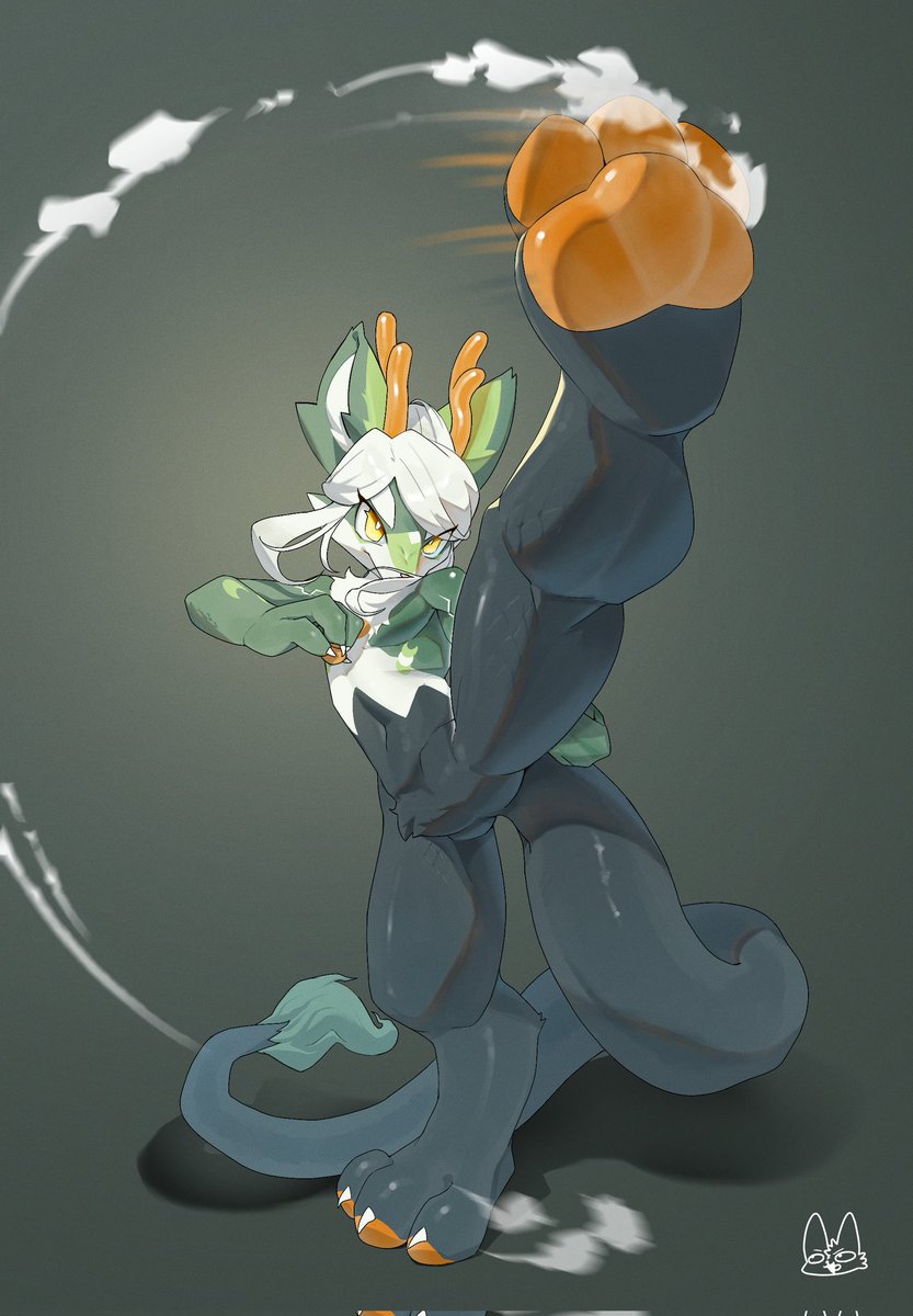 화요일 빠샤빠샤