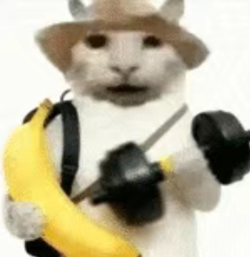 Joey @Gate tweet media