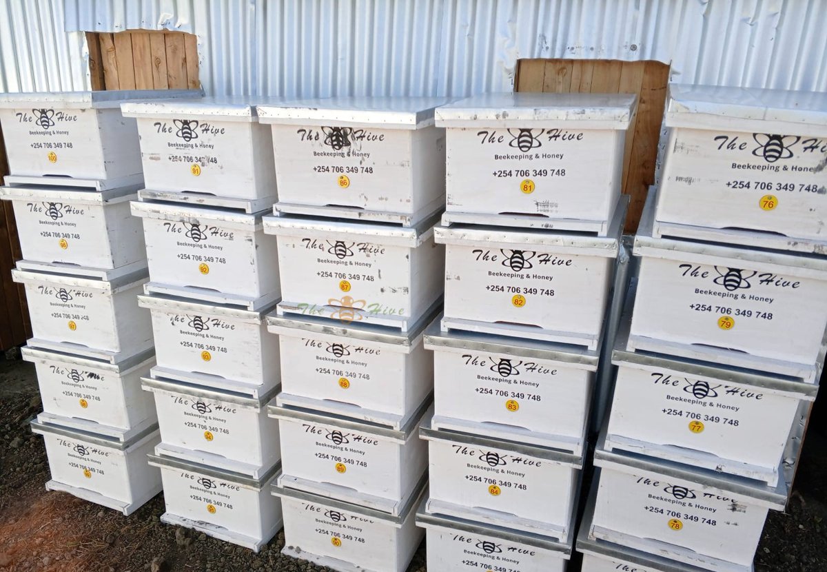 TheHiveLimited's tweet image. Successful installation of 100 #Langstroth hives at  #Naivasha, each with a unique hive #identification tag for easy  #tracking &amp;amp; #management. Boost your apiary's #productivity with our quality equipment &amp;amp; services.

Get yours today🐝

📞 +254706349748 
✉️beekeepers@thehive.co.ke