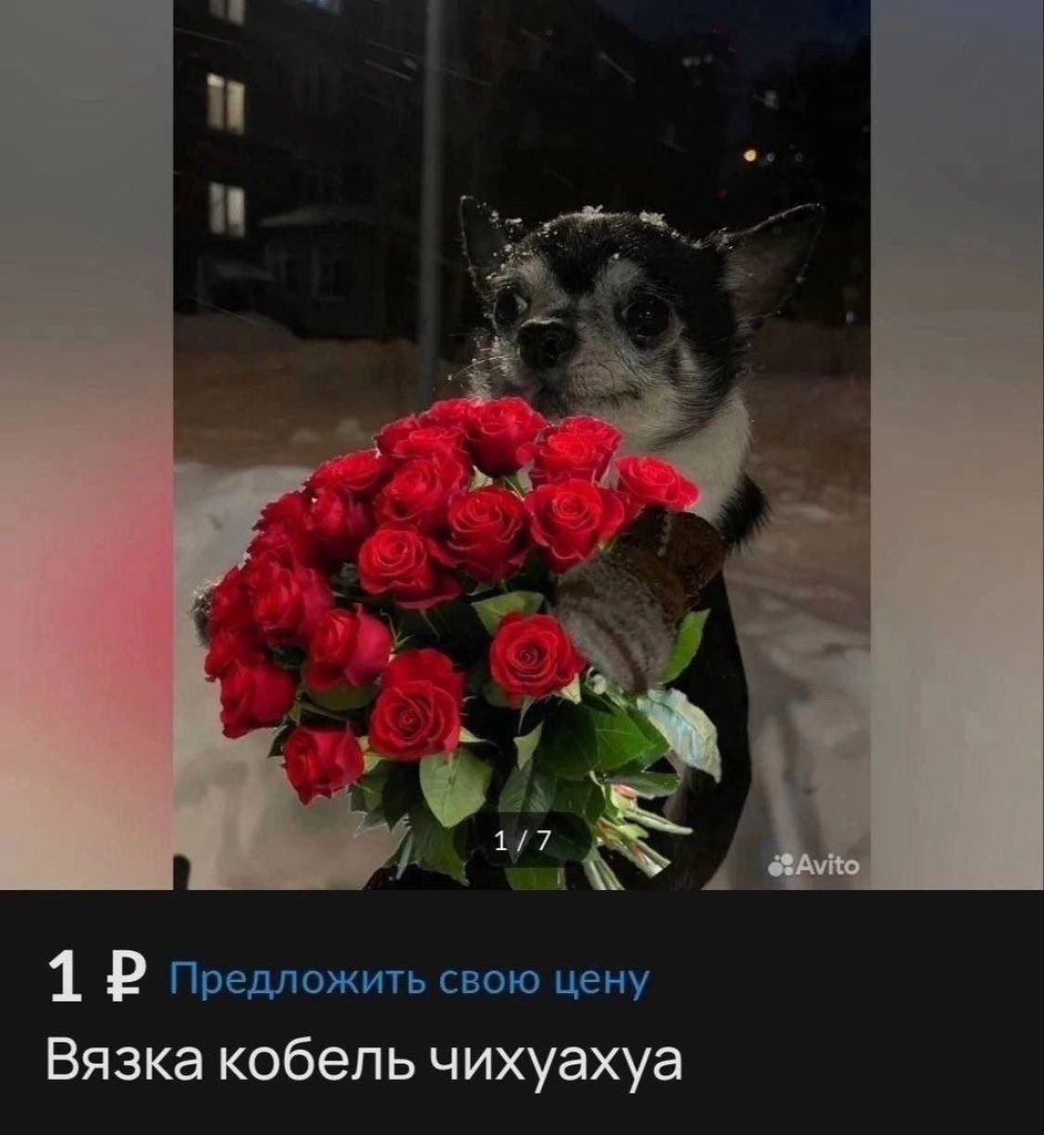 pfmitat's tweet photo. @razgon49318 https://t.co/2JV1n04vOF