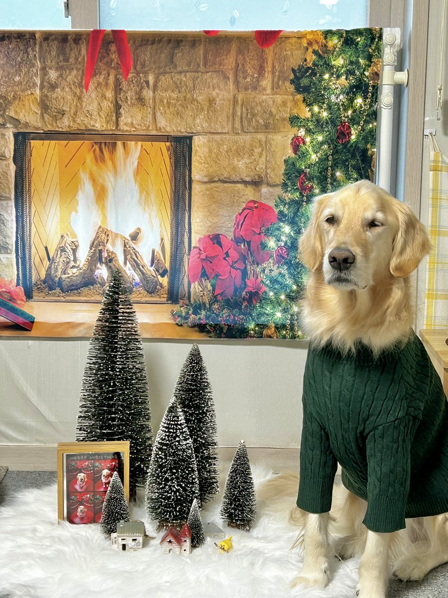 새로 산 옷이 왔다