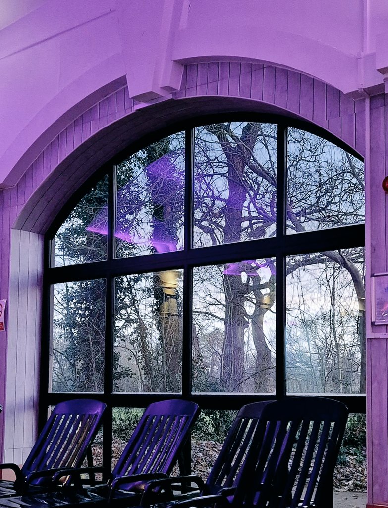 LZellas's tweet image. Swimming pool, December:
Crabwall Manor, Chester 
#AlphabetChallenge 
#WeekWforWindows