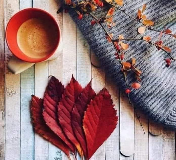 مالنا في كسر الخواطر.وصفة.طبيب.        ولا مطارق حديد.              فينا من.الحب.يكسر.أجبال.    وفينا من العشق.خيمة.بدو       ومن.الكرم قهوة.عطرها.هيل،☕🌴