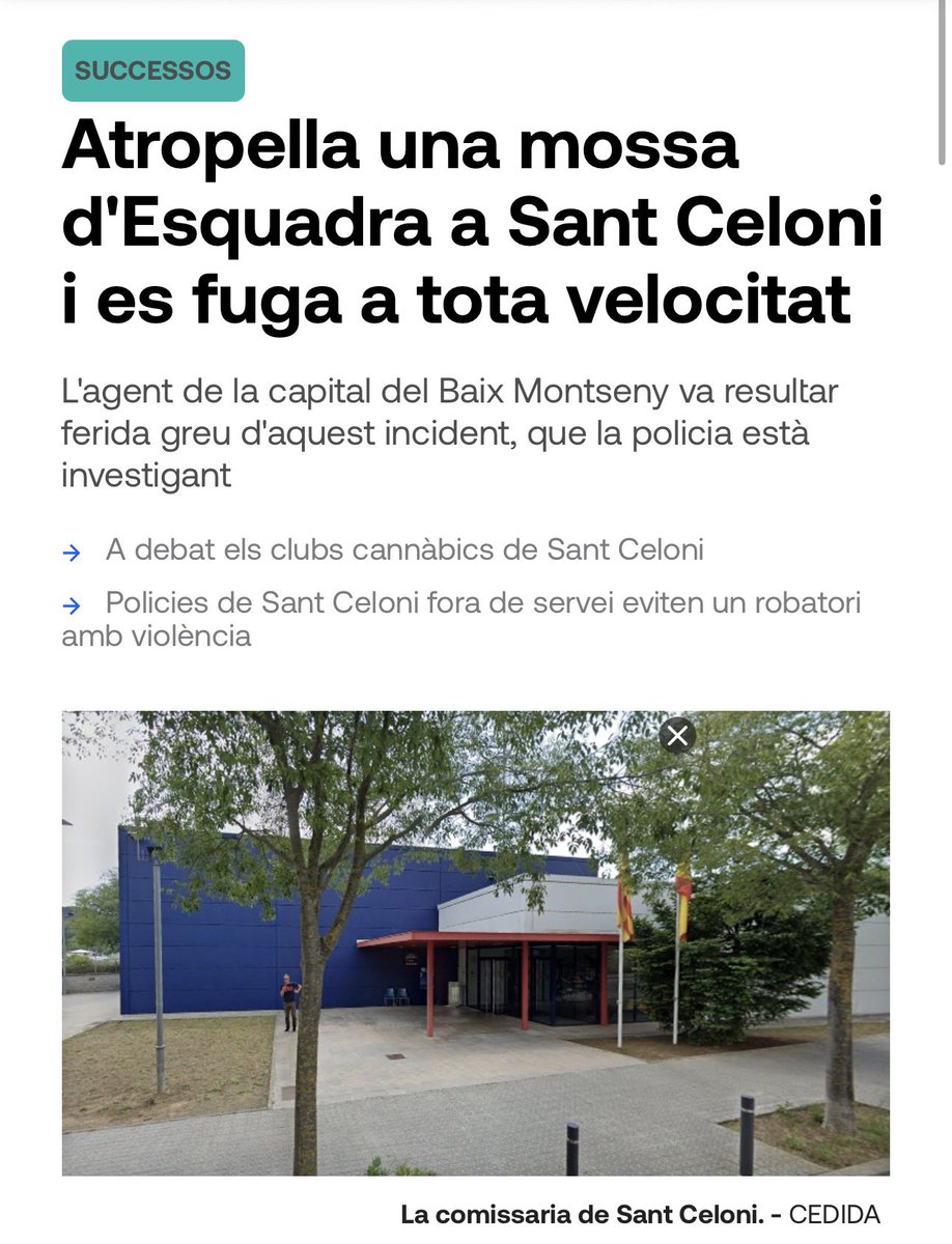 Sindicat SEGCAT tweet media