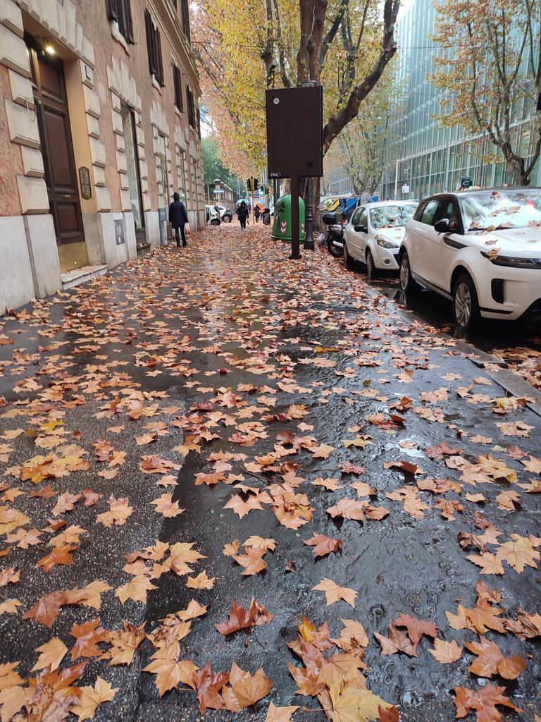 Ha la sua bellitudine