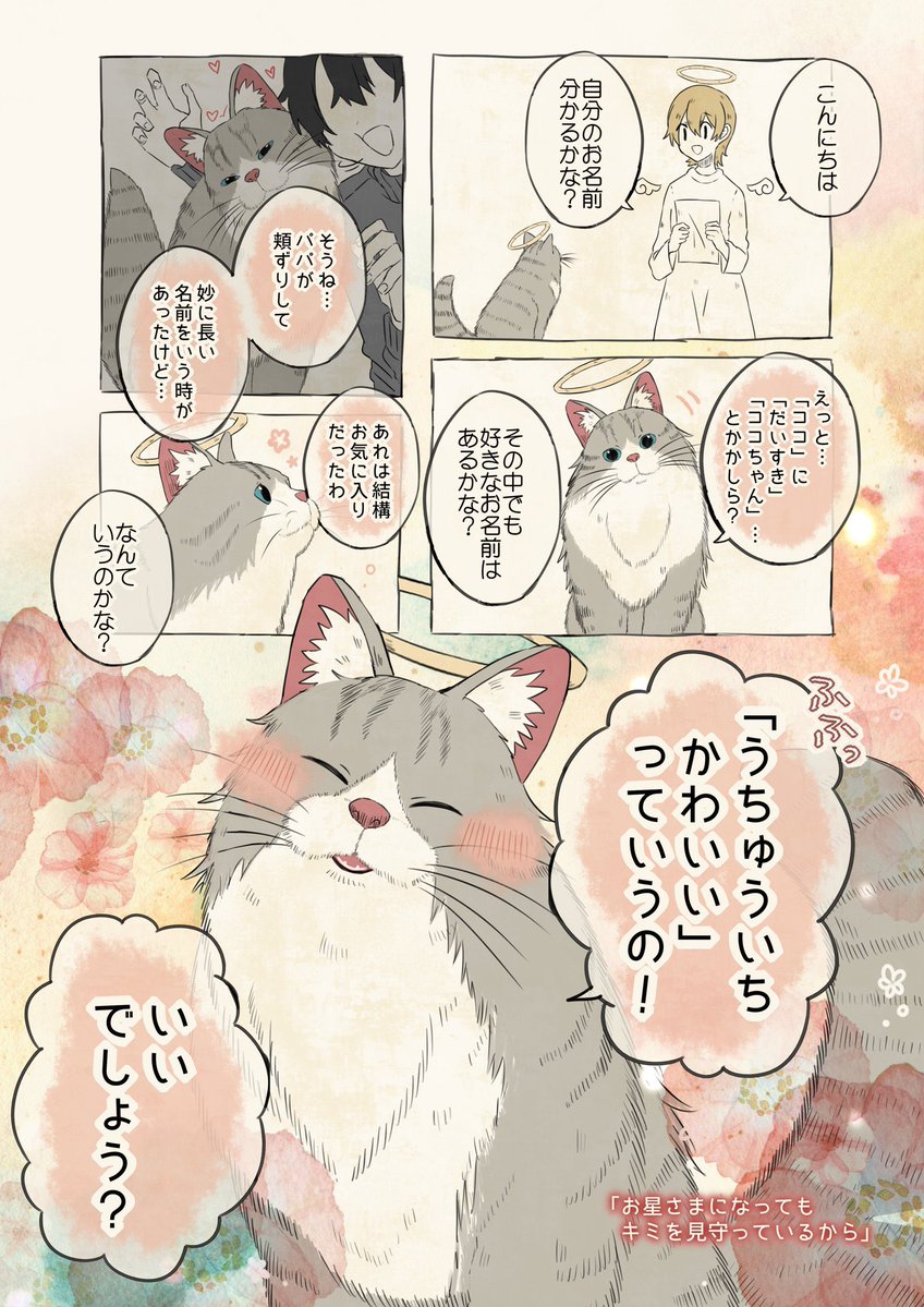 桜子⭐︎ページ 桜子1